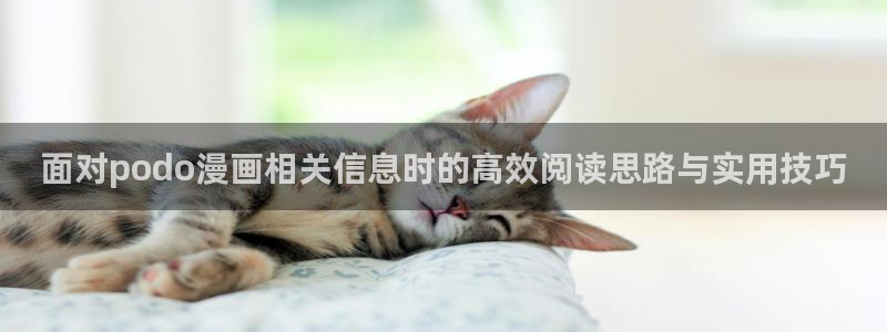 漫画岛漫画阅读网站:面对podo漫画相关信息时的高效阅读思路与实用技巧