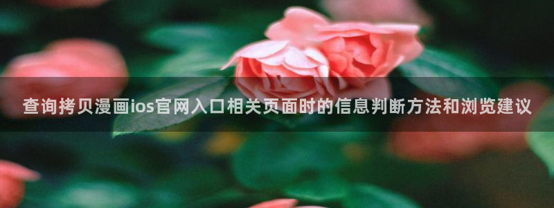 漫画岛新漫画：查询拷贝漫画ios官网入口相关页面时的信息判断方法和浏览建议