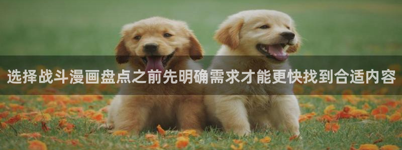 漫画岛完结漫画:选择战斗漫画盘点之前先明确需求才能更快找到合适内容