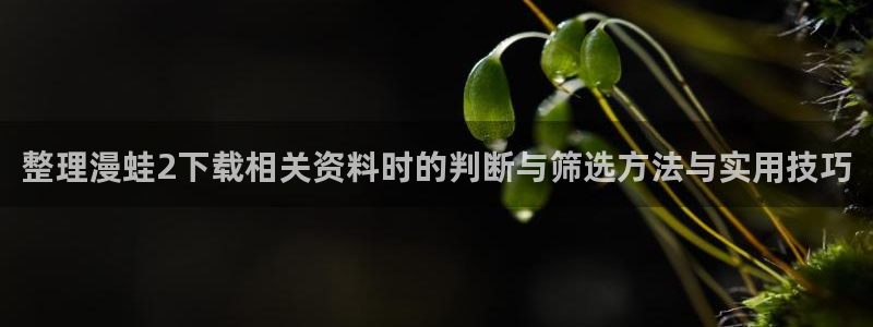 漫画岛漫画入口大全:整理漫蛙2下载相关资料时的判断与筛选方法与实用技巧