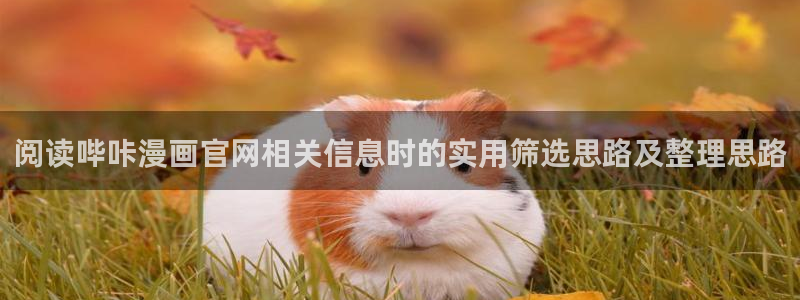 漫画岛漫画导航:阅读哔咔漫画官网相关信息时的实用筛选思路及整理思路